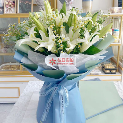 长沙8支白色多头百合洋甘菊，互倾的思念