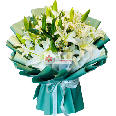 长沙8支白色多头百合洋甘菊，如潮的思念